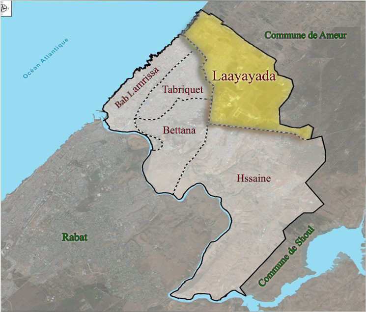 laayayda(1)